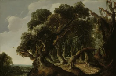 Paesaggio boscoso, circa 1633